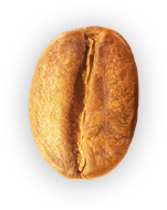 Coffee bean