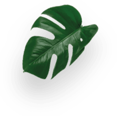 Piccolo XS Black Manual decoration Image